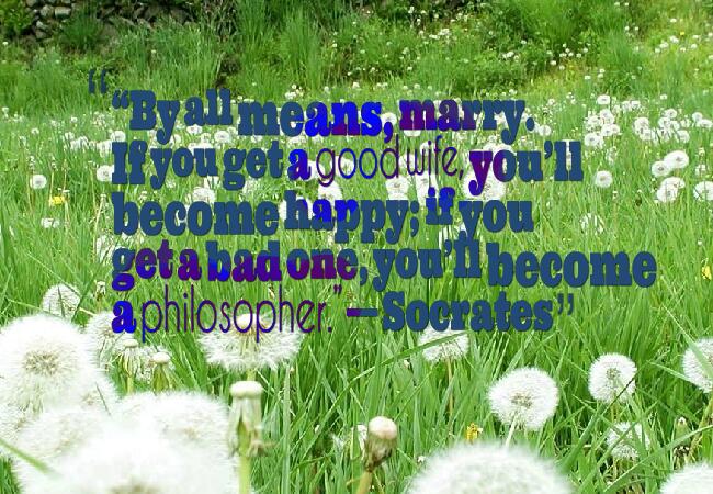 funny-wedding-quotes-and-funny-marriage-quotes-35